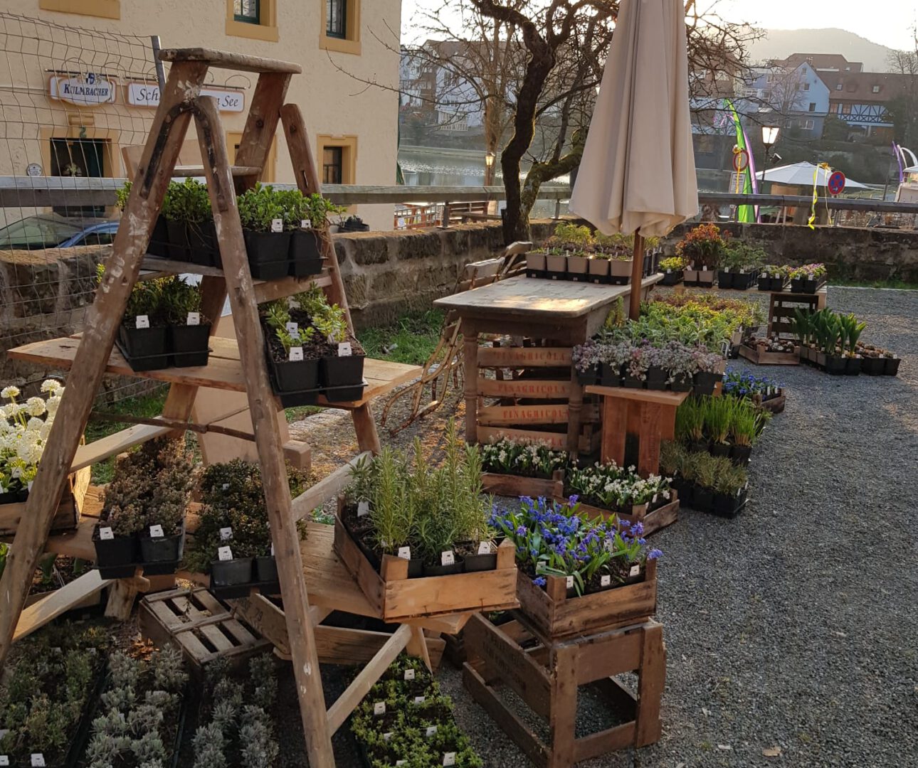 Lenzrosen & Oster Markt Schloss Thurnau